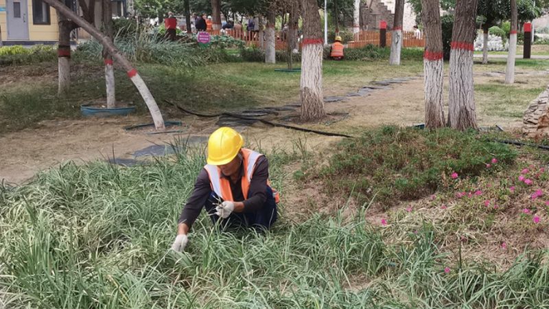 屋顶花园设计安装费用：影响因素与合理预算
