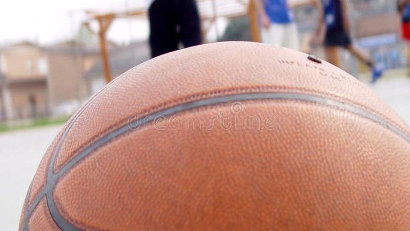 园林绿化验收流程及关键节点把控**