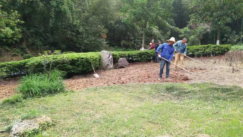 绿植租赁定制方案供应商