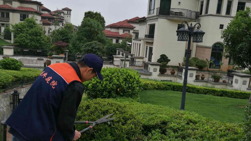 矿山边坡恢复，喷播挂网技术解析