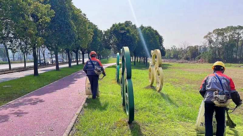 上海草坪养护公司加盟条件解析：如何规避潜在风险**