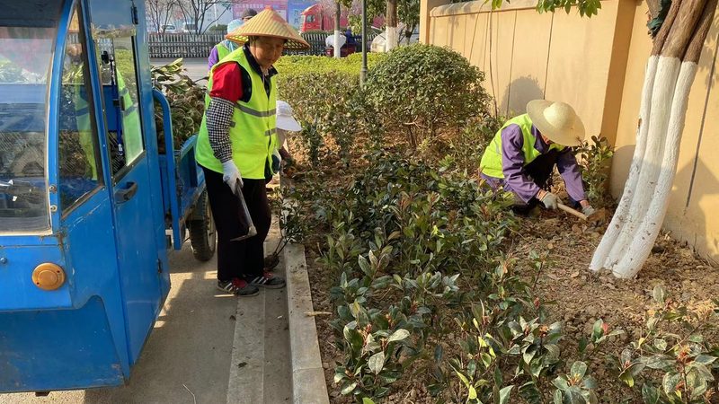 绿化资质乙级与甲级人员配置：关键差异解析