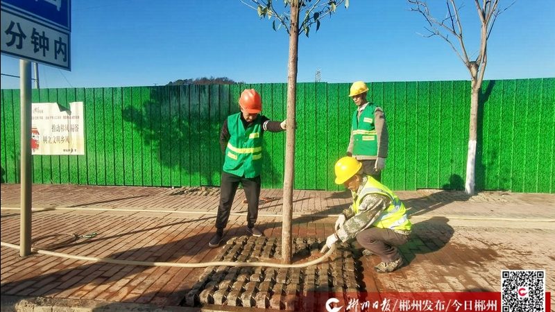垂直绿化墙自动灌溉系统：材质选择与性能考量**