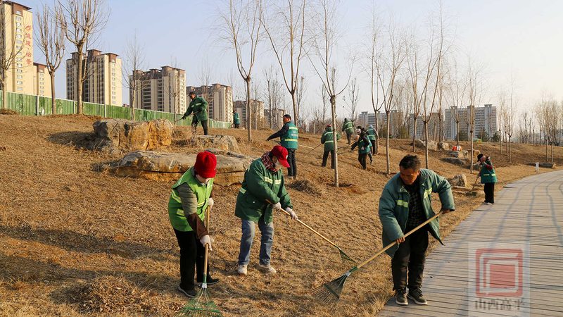 苗木种植技术视频教程：掌握这些关键步骤，确保成活率**