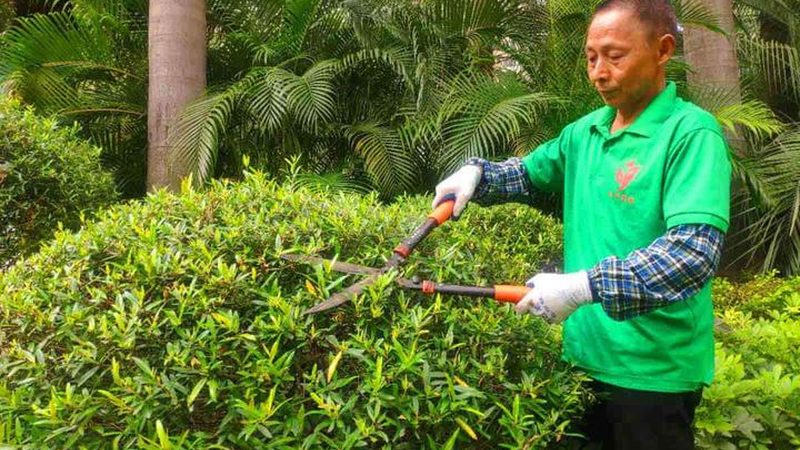 庭院假山喷泉材质揭秘：如何挑选合适的石材