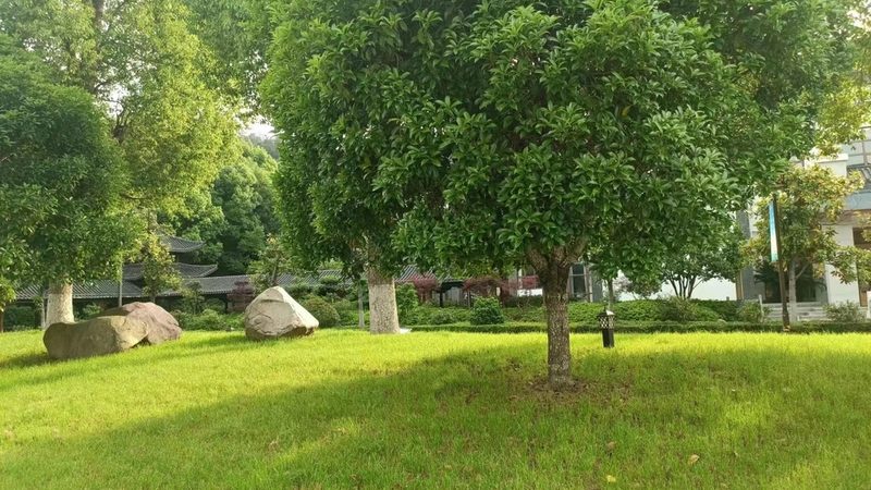 庭院自动草坪修剪机器人定制：打造绿色家园的得力助手