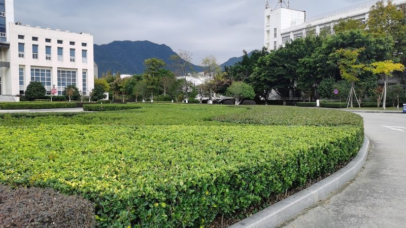 小区绿化修剪流程视频