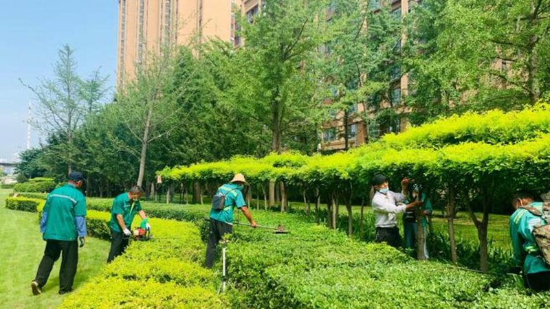 花园设计资质加盟代理：揭秘行业加盟背后的真相**